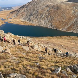 432200a8536846-JT264980667